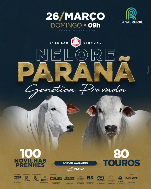 8° LEILÃO VIRTUAL NELORE PARANÃ - GENÉTICA PROVADA