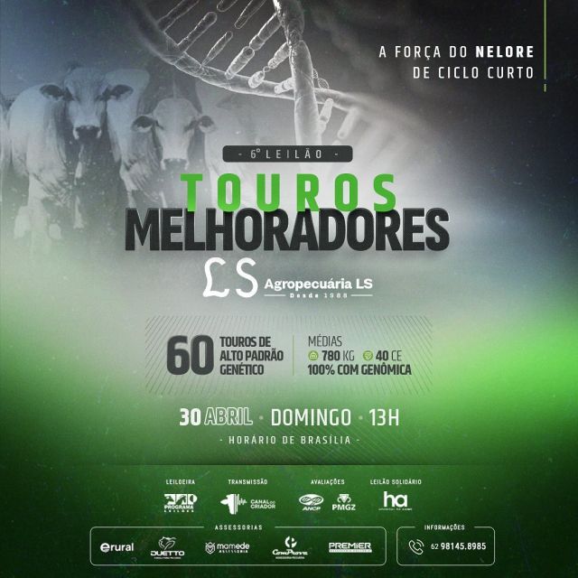 BANNER 6° LEILÃO TOUROS MELHORADORES LS