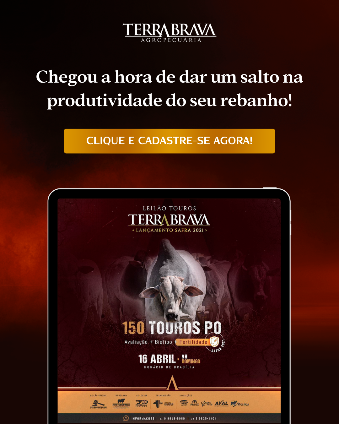 BANNER LEILÃO TOUROS TERRA BRAVA - 16/04/2023