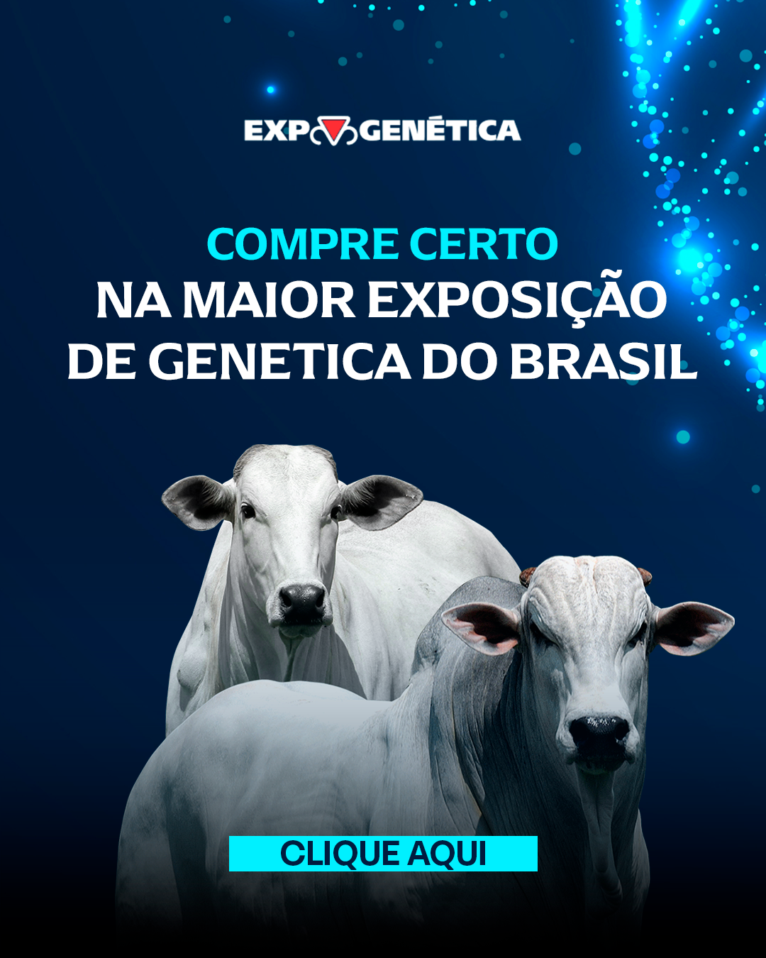 Por que pecuaristas de sucesso escolhem a Expogenética para comprar animais?